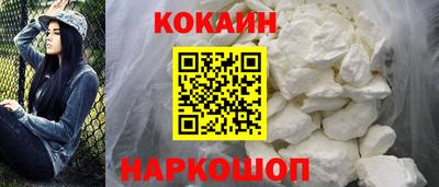 спиды Донской