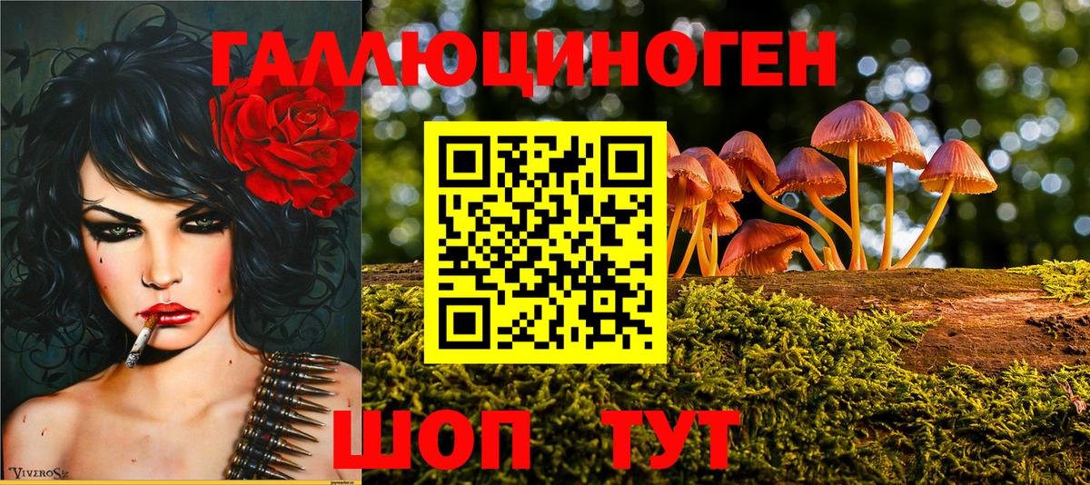 Псилоцибиновые грибы MAGIC MUSHROOMS  Вход с VPN  Осинники 