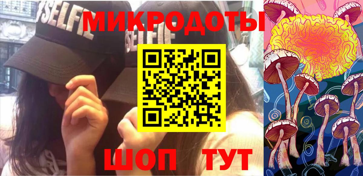 Псилоцибиновые грибы GOLDEN TEACHER Осинники